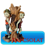 Kapcsolat